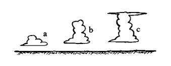 Environmental Science mcq question image