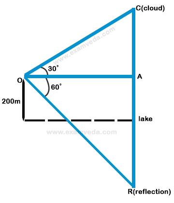 Height and Distance mcq solution image