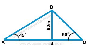 Height and Distance mcq solution image