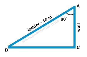 Height and Distance mcq solution image