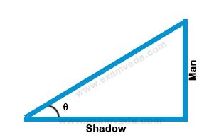 Height and Distance mcq solution image