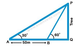 Height and Distance mcq solution image