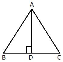 Area mcq solution image