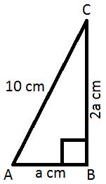 Area mcq solution image