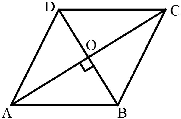 Area mcq solution image