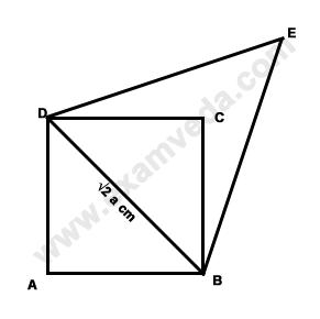 Area mcq solution image