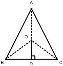 Triangles mcq solution image