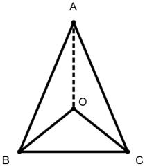 Triangles mcq solution image