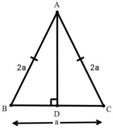 Triangles mcq solution image