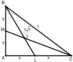 Triangles mcq solution image