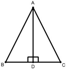 Triangles mcq solution image
