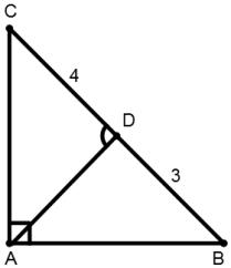 Triangles mcq solution image
