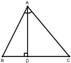 Triangles mcq solution image