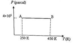 81531_kra17.jpg