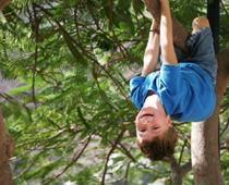 ABC-Tree-B.jpg