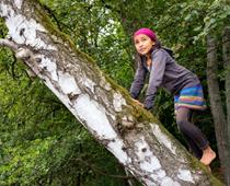 Active-Tree-B.jpg
