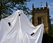 Agree-Ghost-B.jpg