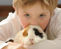 Animals-3-s.jpg