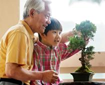 Asia-Bonsai-B.jpg