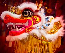 Asia-Dragon-B.jpg