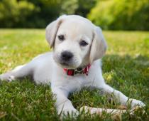 Babies-5-s.jpg