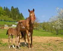 Babies-6-s.jpg