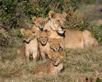 Babies-8-s.jpg