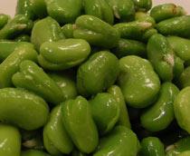 Broad-bean-B.jpg