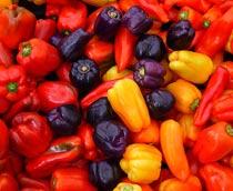 Capsicum-B.jpg