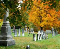 Car-cemetery-B.jpg