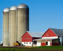 Car-silo-B.jpg