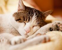 Caring-6-s.jpg