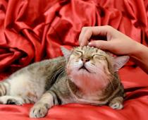 Caring-8-s.jpg