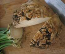 Celeriac-B.jpg