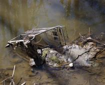Changes-to-the-Environment-2-Q5-Trolley-s.jpg