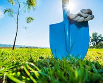 Changes-to-the-Environment-2-Q7-Spade-s.jpg