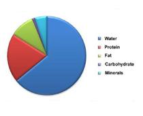 Chart-Q8-B.jpg