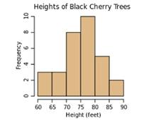 Chart-Q9-B.jpg