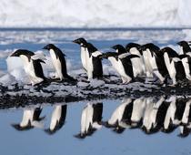 Choosing-8-s.jpg