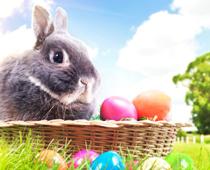 Christianity-easter-B.jpg