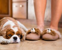 Christmas-Slippers-B.jpg