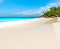 Coasts-Q3-beach-s.jpg