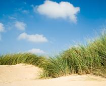 Coasts-Q4-Dunes-s.jpg