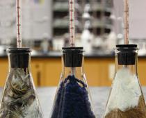 Counting-and-Measuring-7-s.jpg