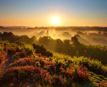 Day-and-Night-9-s.jpg