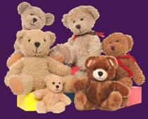 Description-Bear-B.jpg