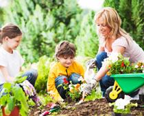 Dig-Garden-B.jpg
