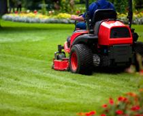 Dig-Mower-B.jpg