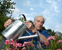 Dig-Watering-B.jpg