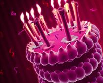 Dip-2-birthday-B.jpg